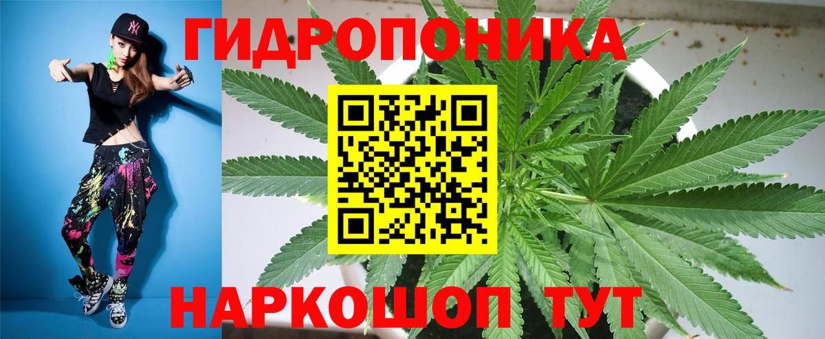 Муром  Марихуана конопля  Каннабис OG Kush  Вход с VPN  Шишки марихуана план 